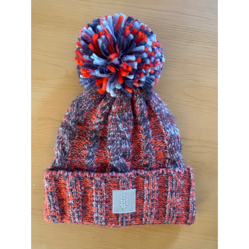 NWOT Free People Movement Pom Party Beanie